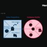 Empleabilidad 5.0 - PUV